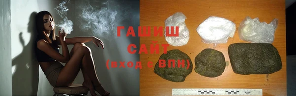 прущие грибы Саяногорск