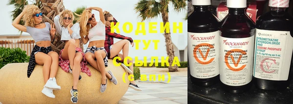 прущие грибы Алексин