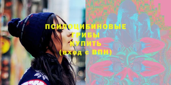 прущие грибы Алексин