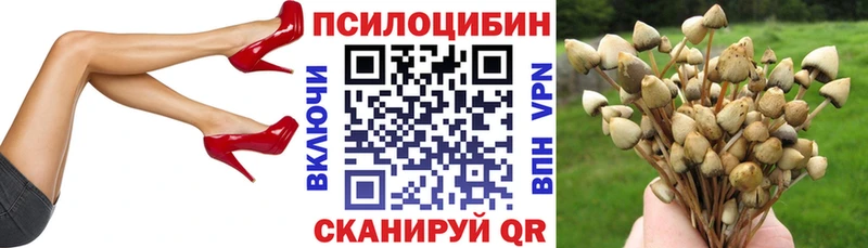 площадка телеграм  сколько стоит  Кизел  Псилоцибиновые грибы Cubensis 